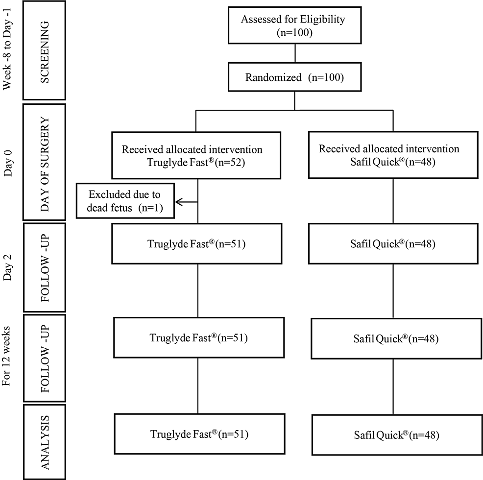 Clinical study design and organization. (A) Consort diagram. (B