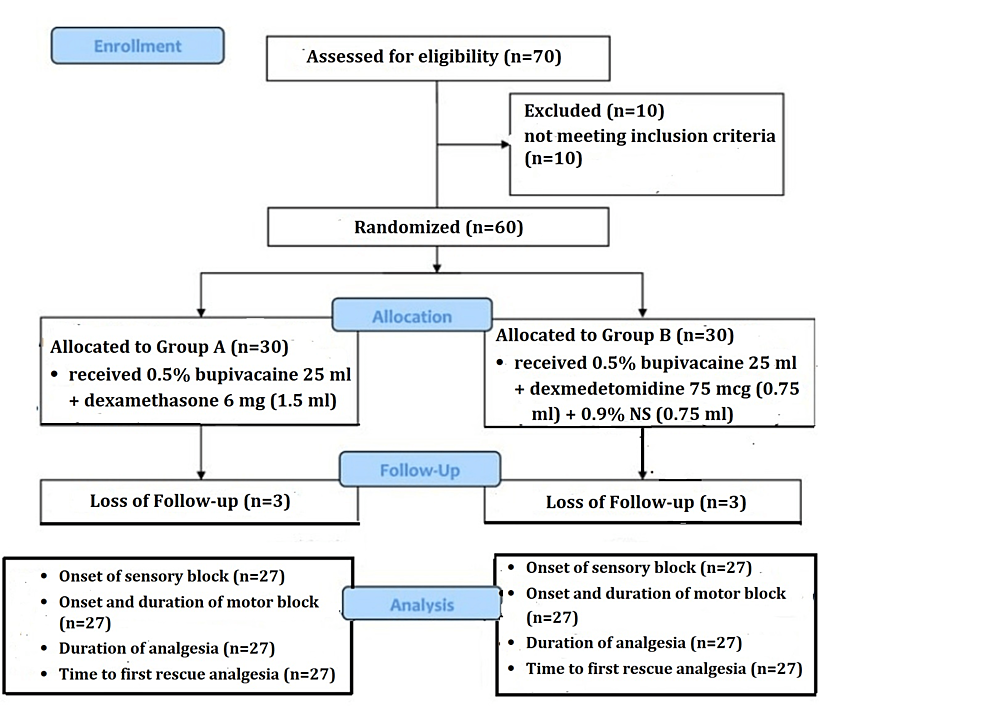 The Comparison of Dexmedetomidine to Dexamethasone as Adjuvants to ...