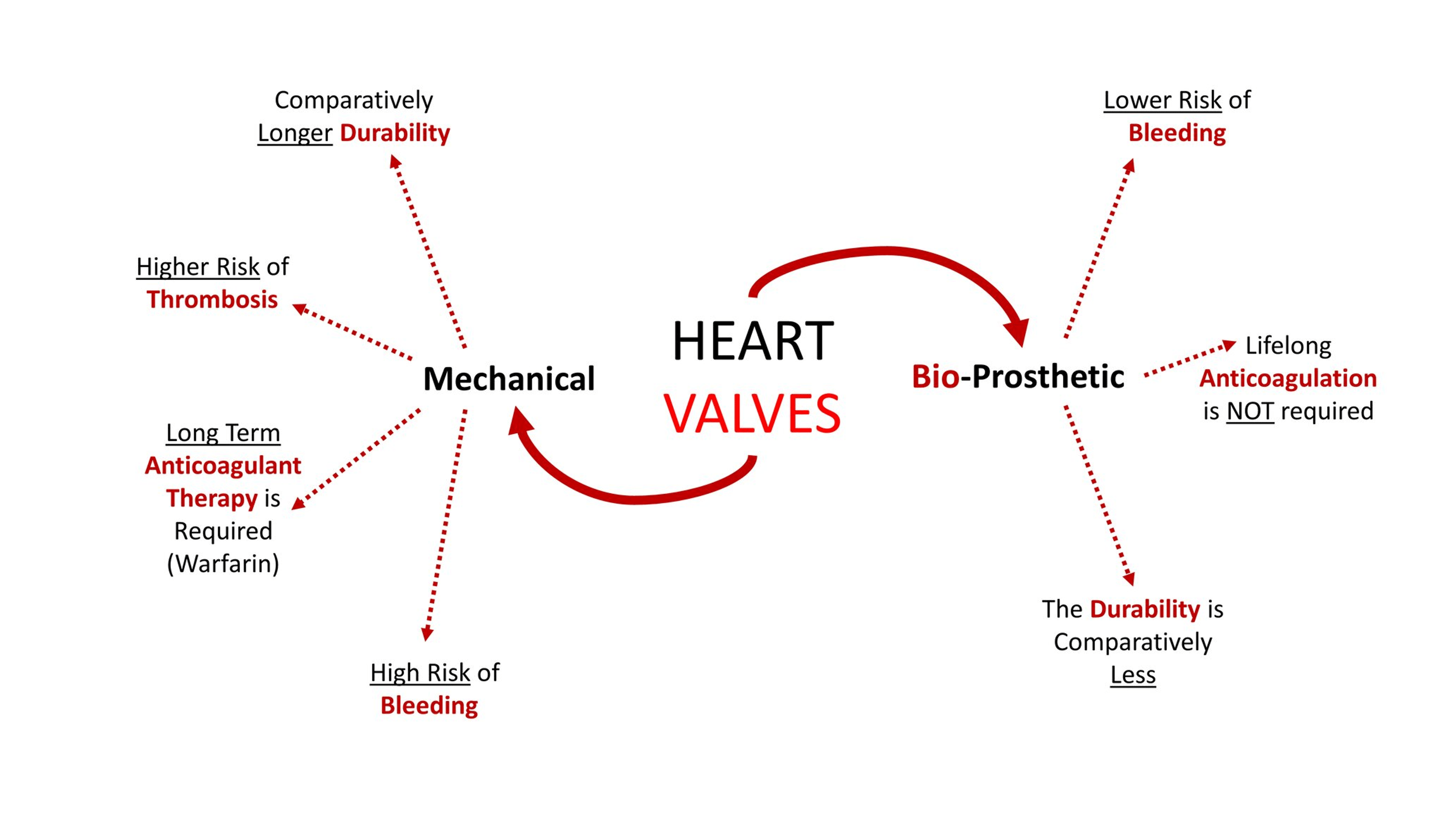 Scientific Evolution of Artificial Heart Valves A Narrative Review Cureus
