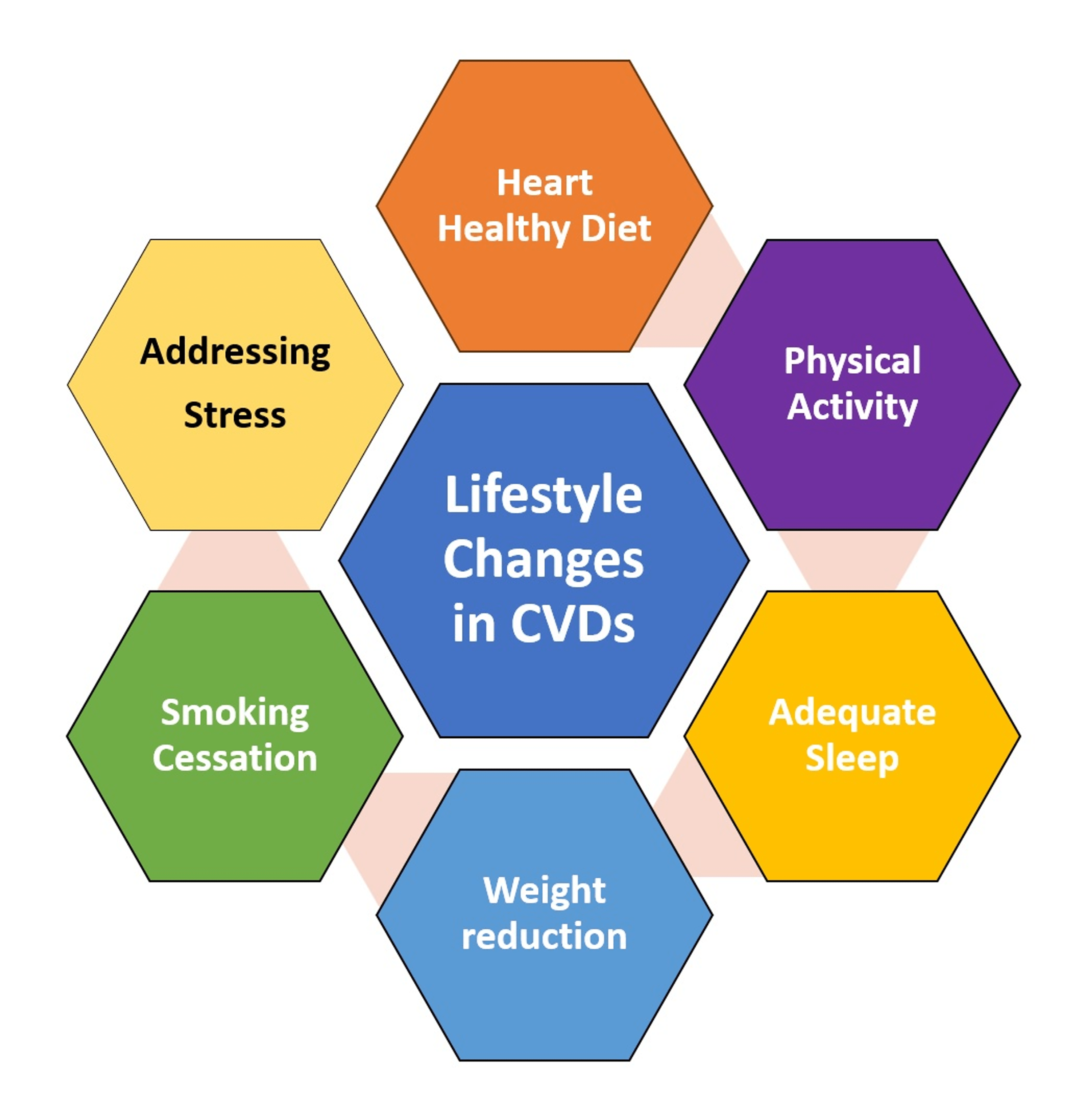 Impact of Lifestyle Modifications on Cardiovascular Health A Narrative