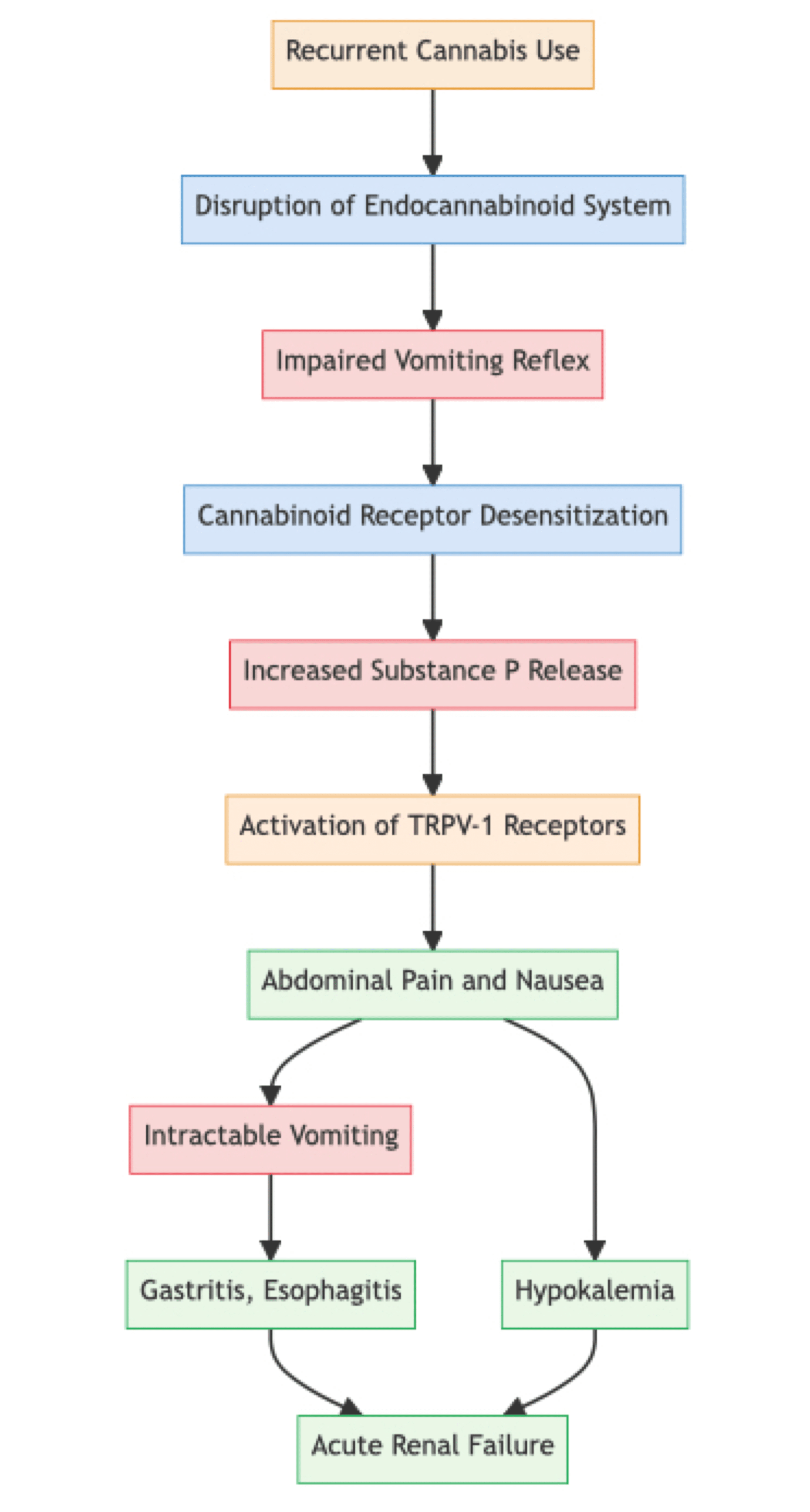 Cannabis Hyperemesis Syndrome In A Young Patient: A Case Report And ...