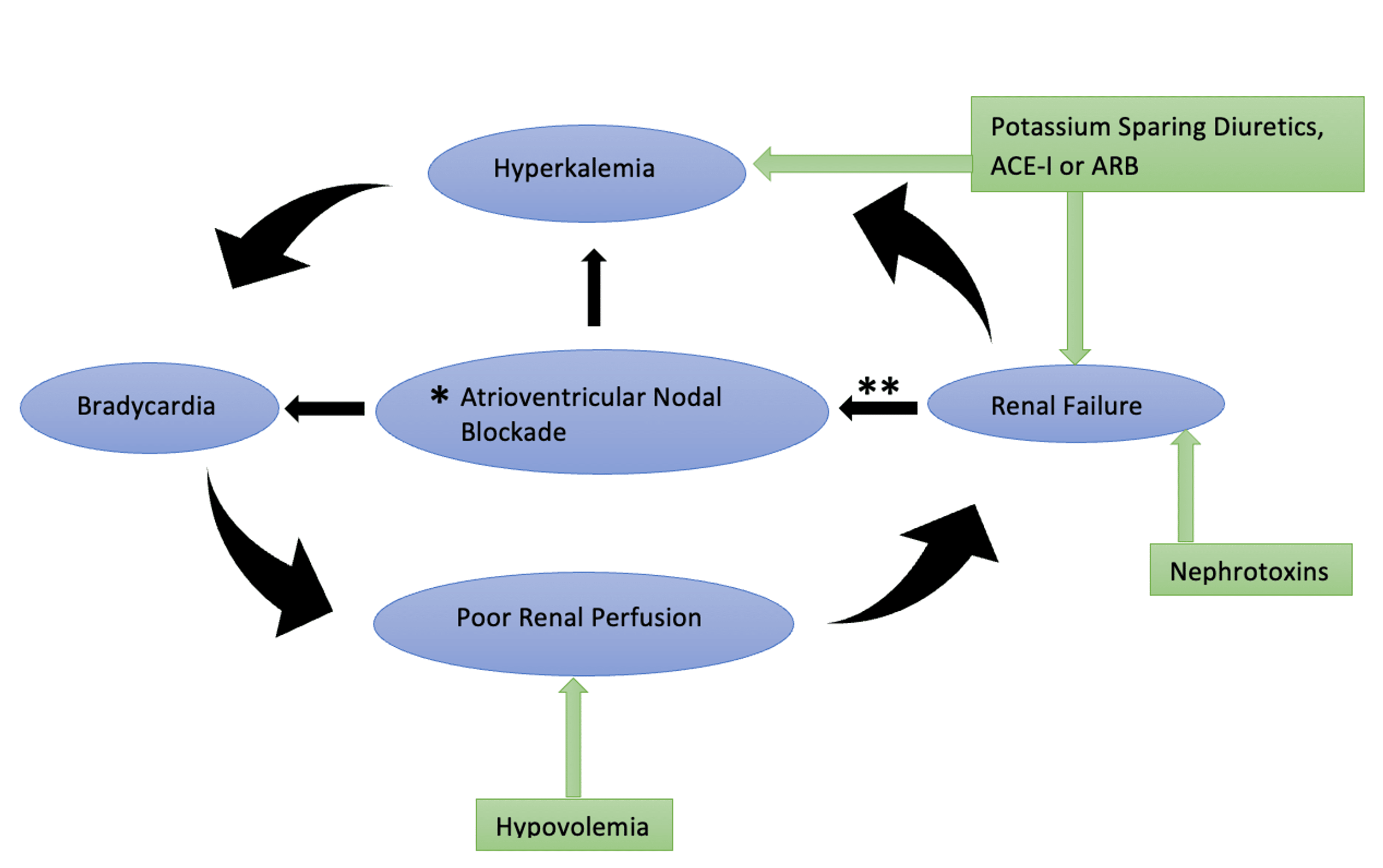 Transthyretin Cardiac Amyloidosis Presenting as Bradycardia, Renal