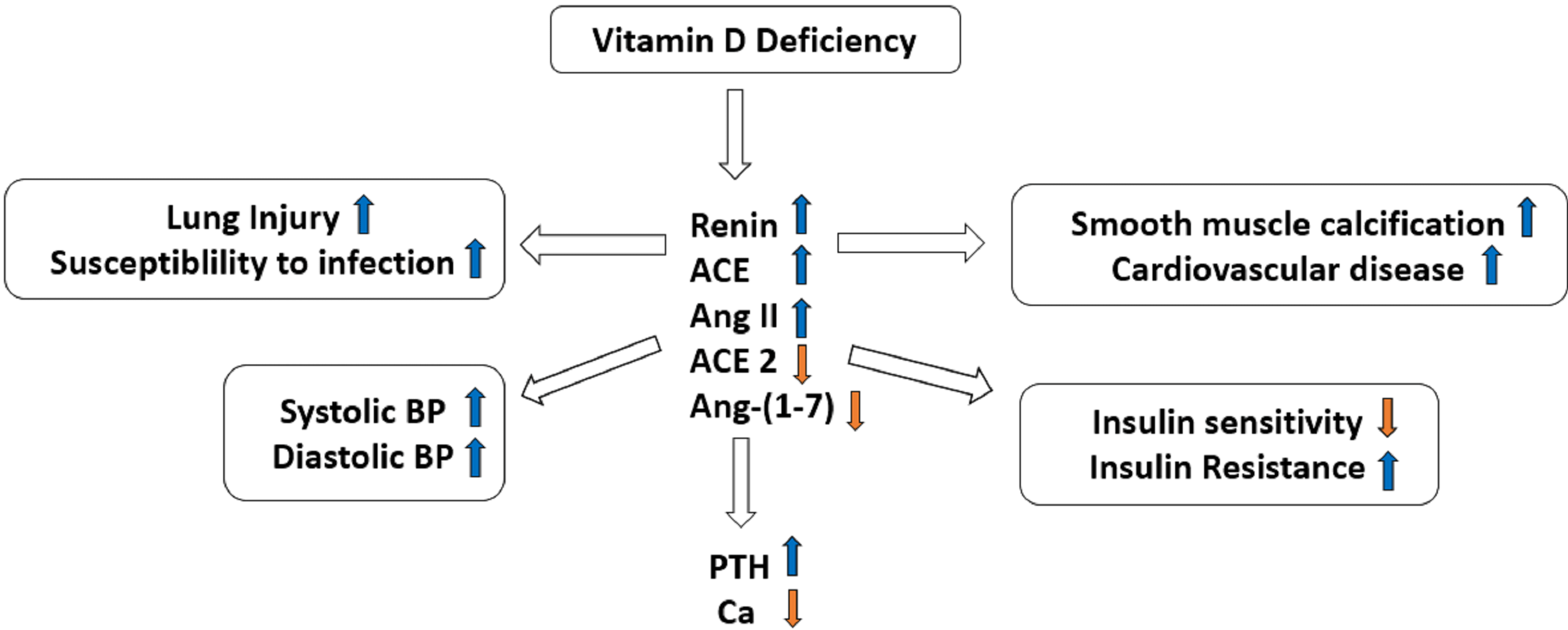 Vitamin D and COVID19 An Update on Evidence and Potential Therapeutic