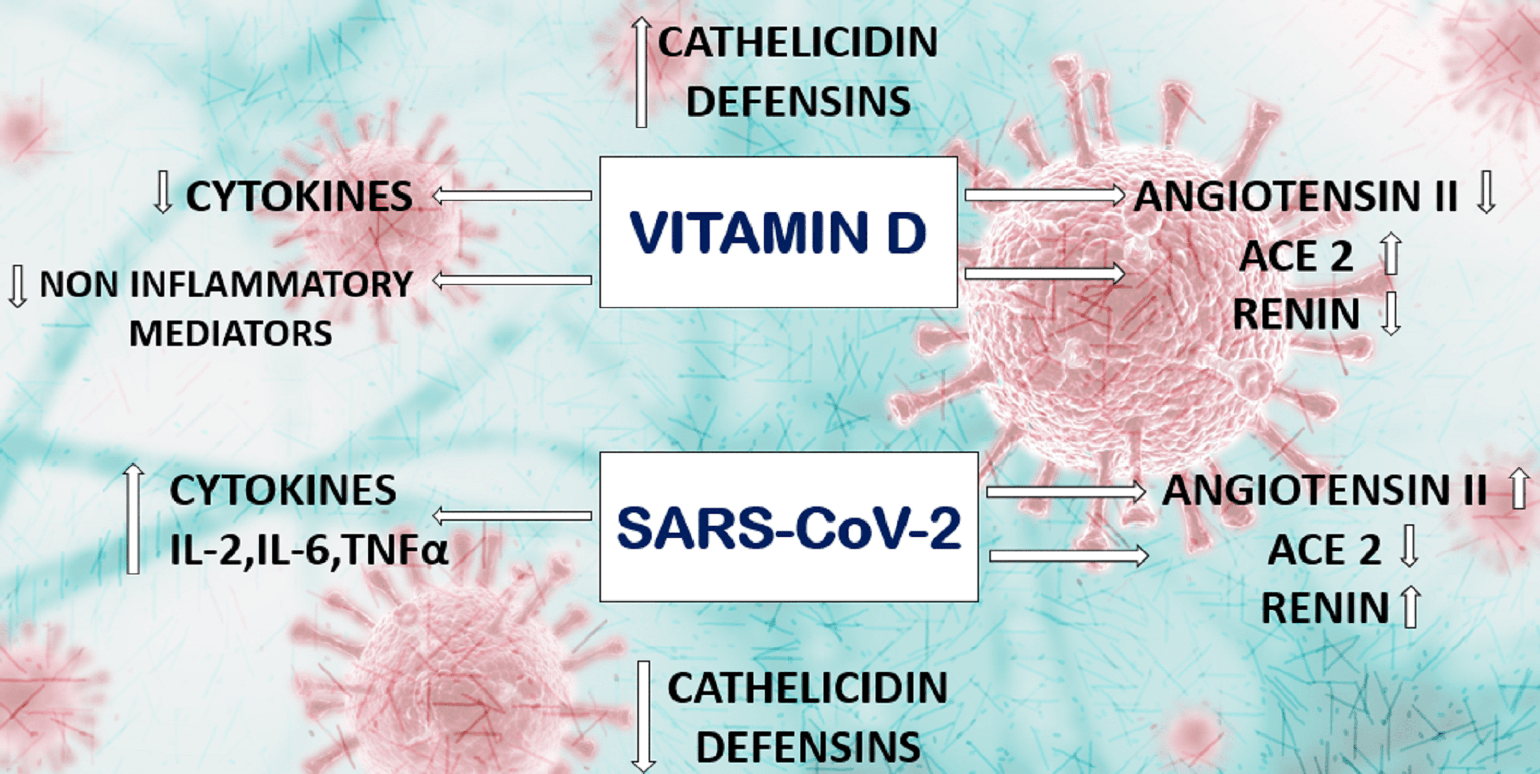 Vitamin D and COVID19 An Update on Evidence and Potential Therapeutic