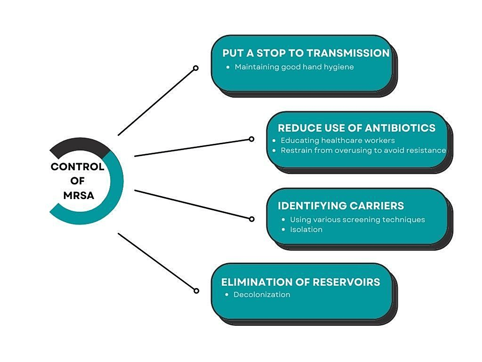 Cureus Methicillin Resistant Staphylococcus aureus Colonization