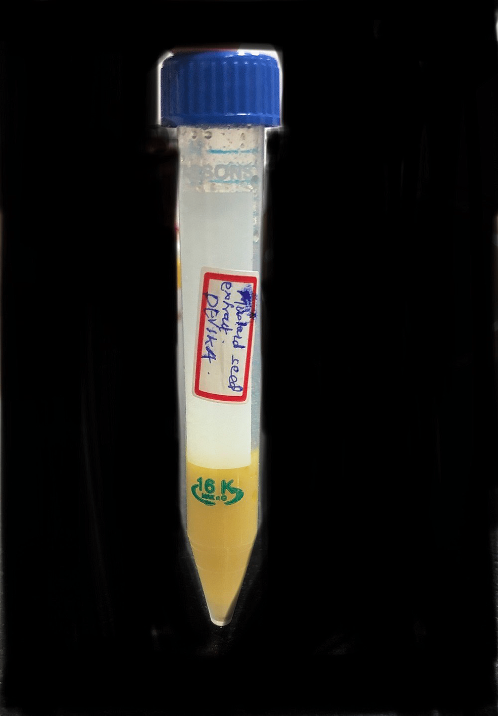 Evaluation of Antiinflammatory and Antimicrobial Properties of Mustard