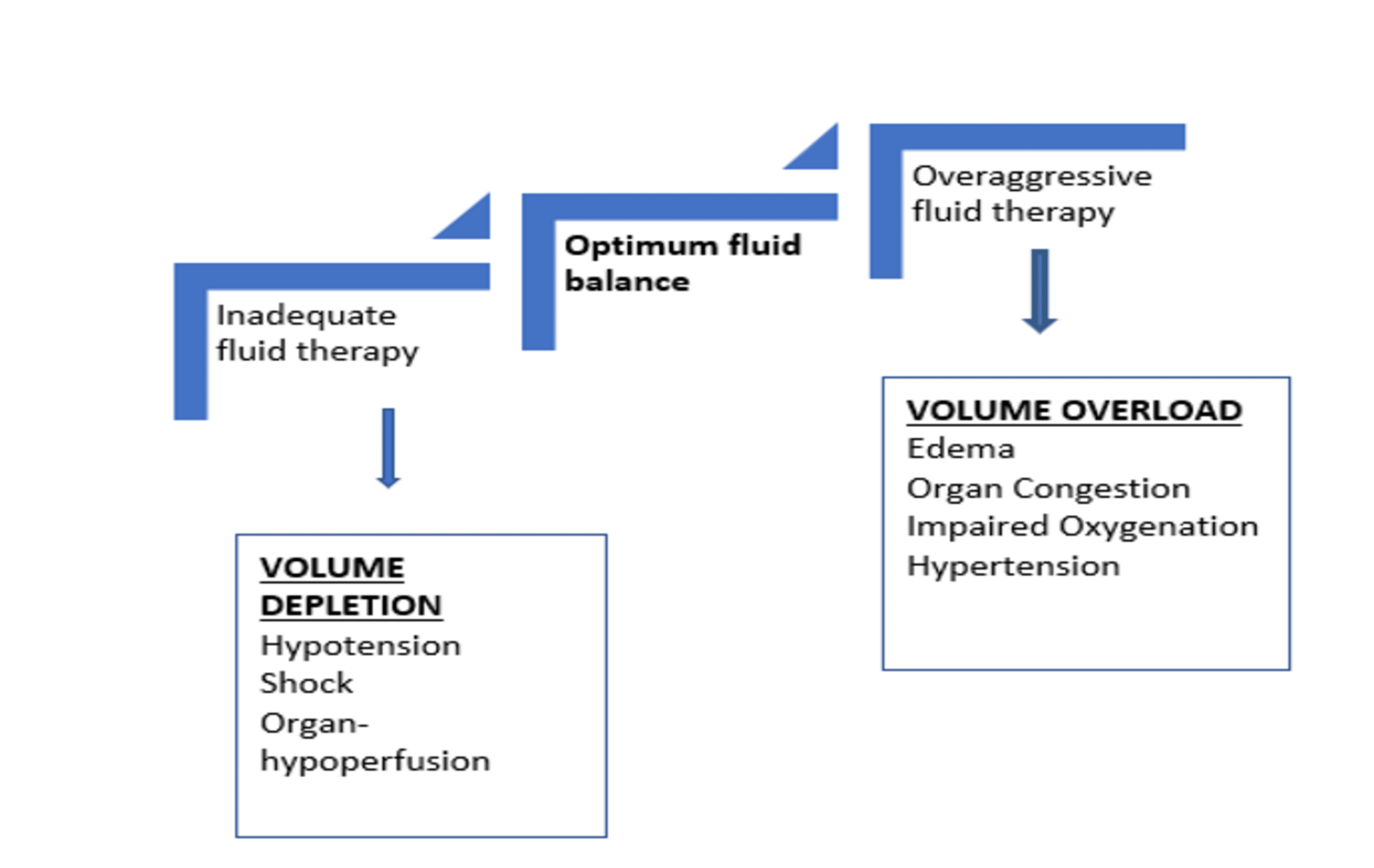 Cureus | Systemic Venous Congestion Reviewed