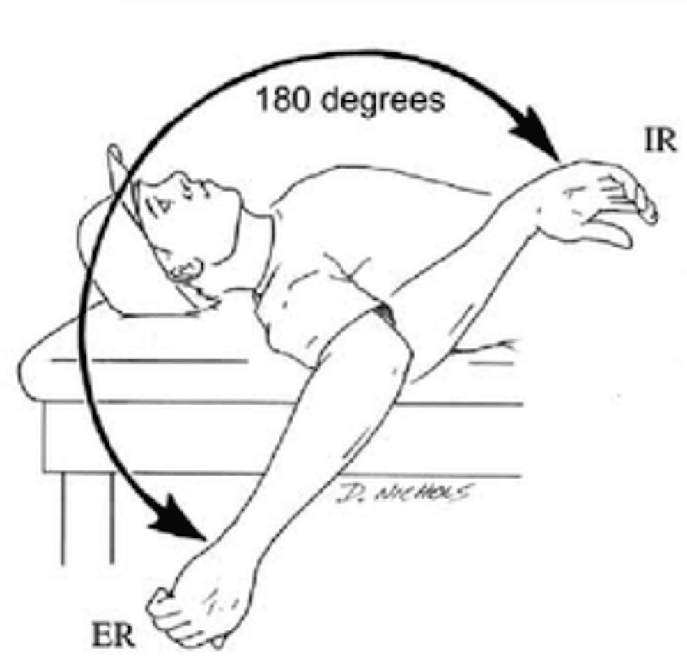 Throwing Shoulder Range of Motion and Hamstring Flexibility in