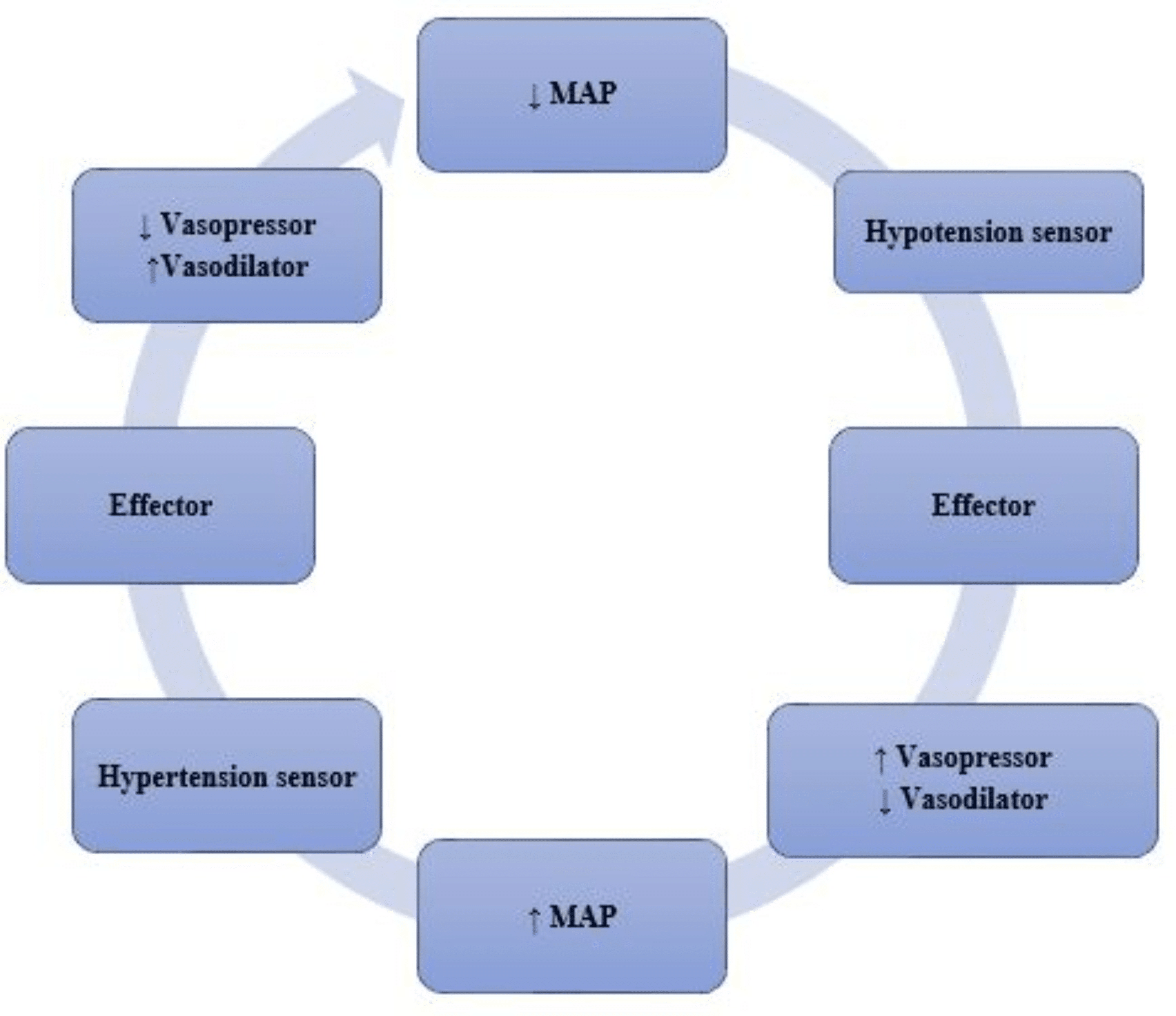 ClosedLoop Pharmacologic Control of Blood Pressure A Review of