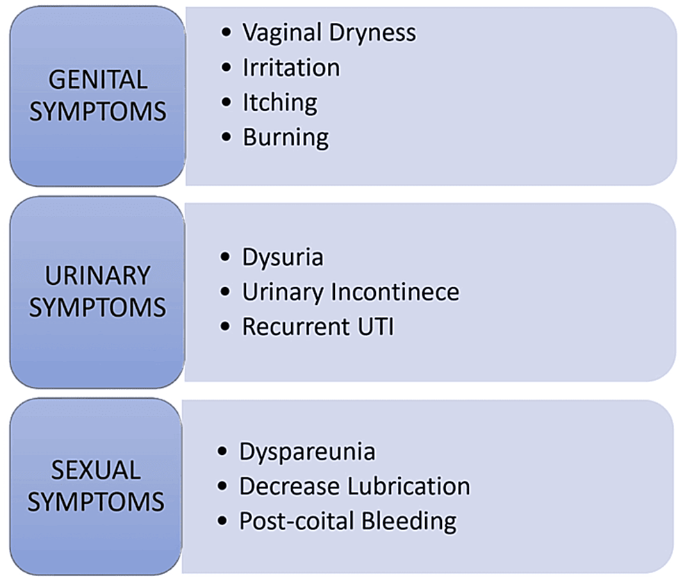 Genitourinary Syndrome Of Menopause: A Narrative Review Focusing On Its ...