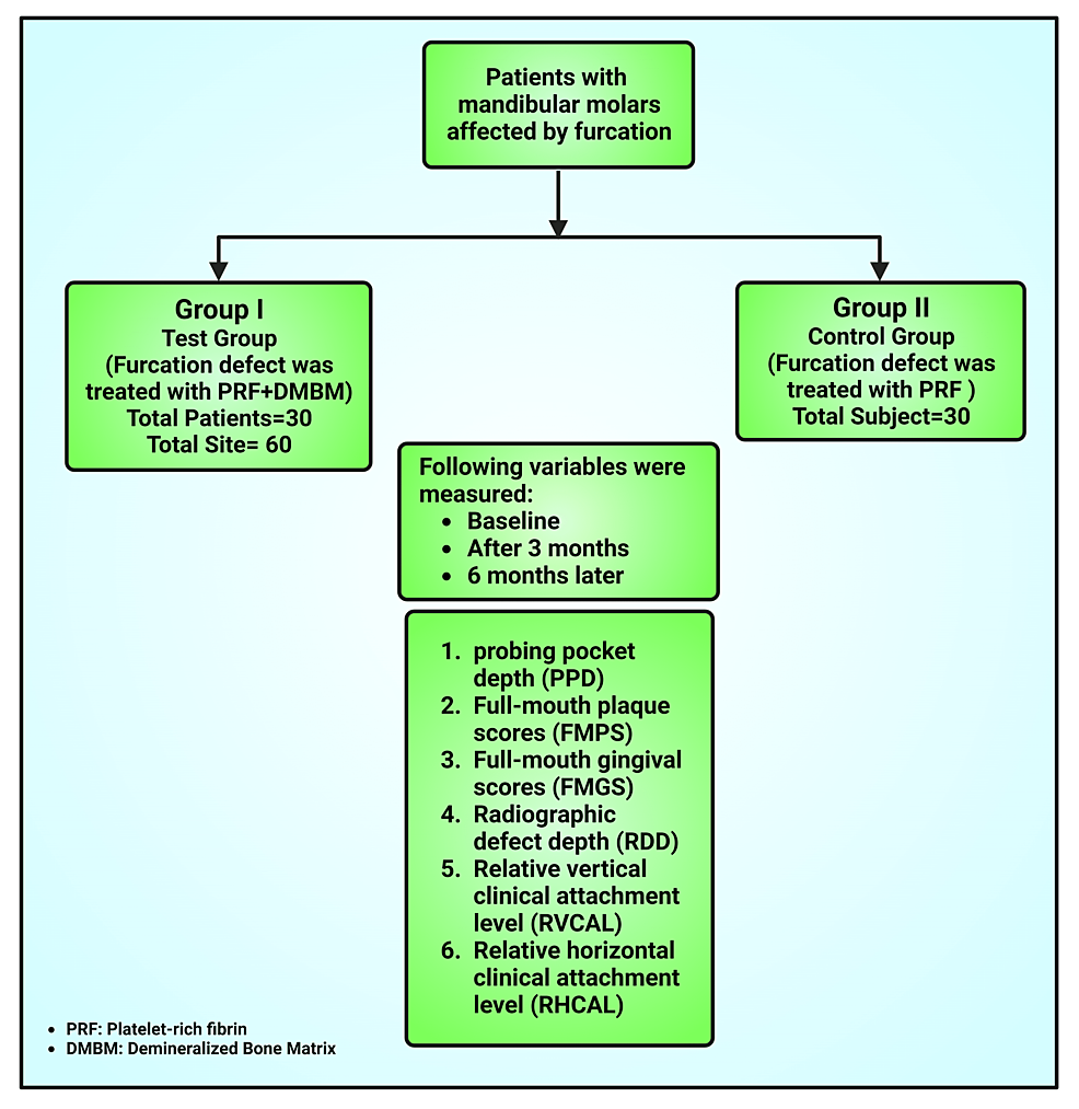 Cureus | Clinical and Radiographic Evaluation of Autologous Platelet ...