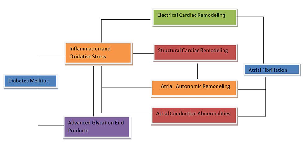 afib and semaglutide In a 68-year-old obese male (BMI ~36) with a history of atrial fibrillation controlled by two ablations, a permanent pacemaker, a Watchman leftatrial appendage closure device, chronic obstructive pulmonary disease, chronic Semaglutide May Prevent Atrial Fibrillation