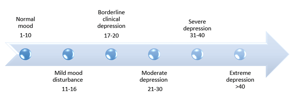 Cureus  The Validation of Beck's Depression Inventory in Patients