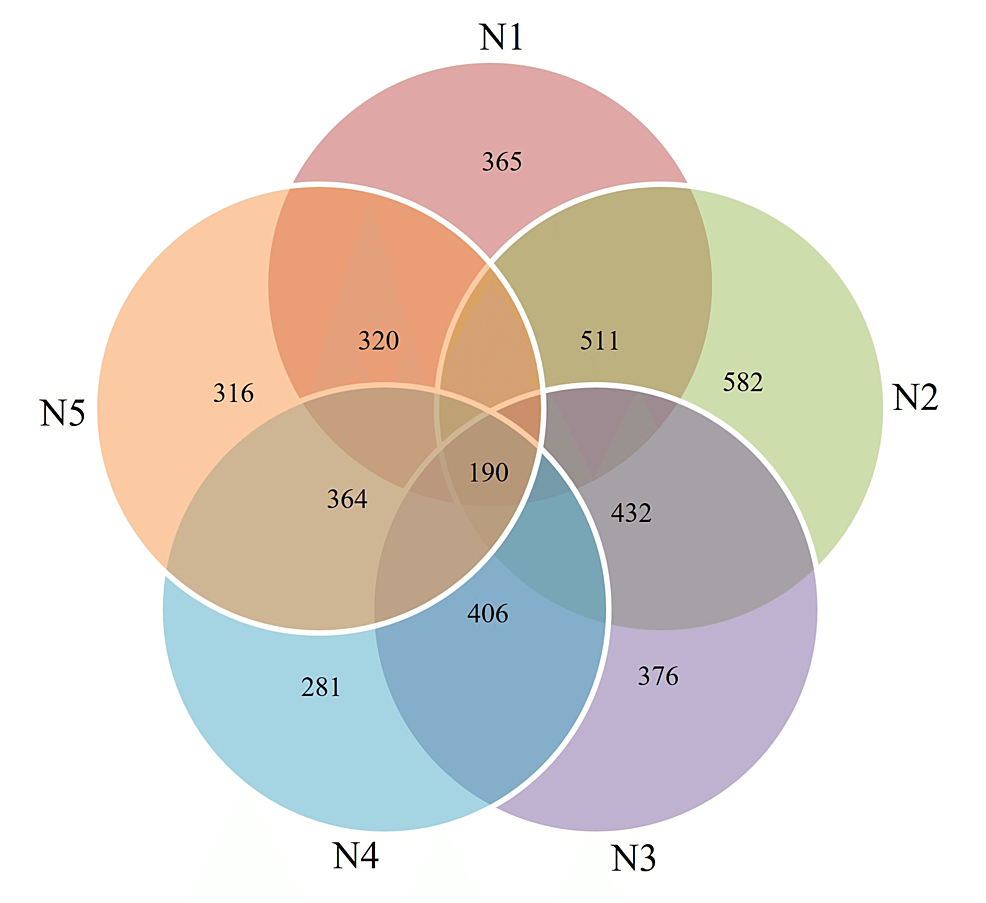 Proteome of Human Scalp Hair Follicles