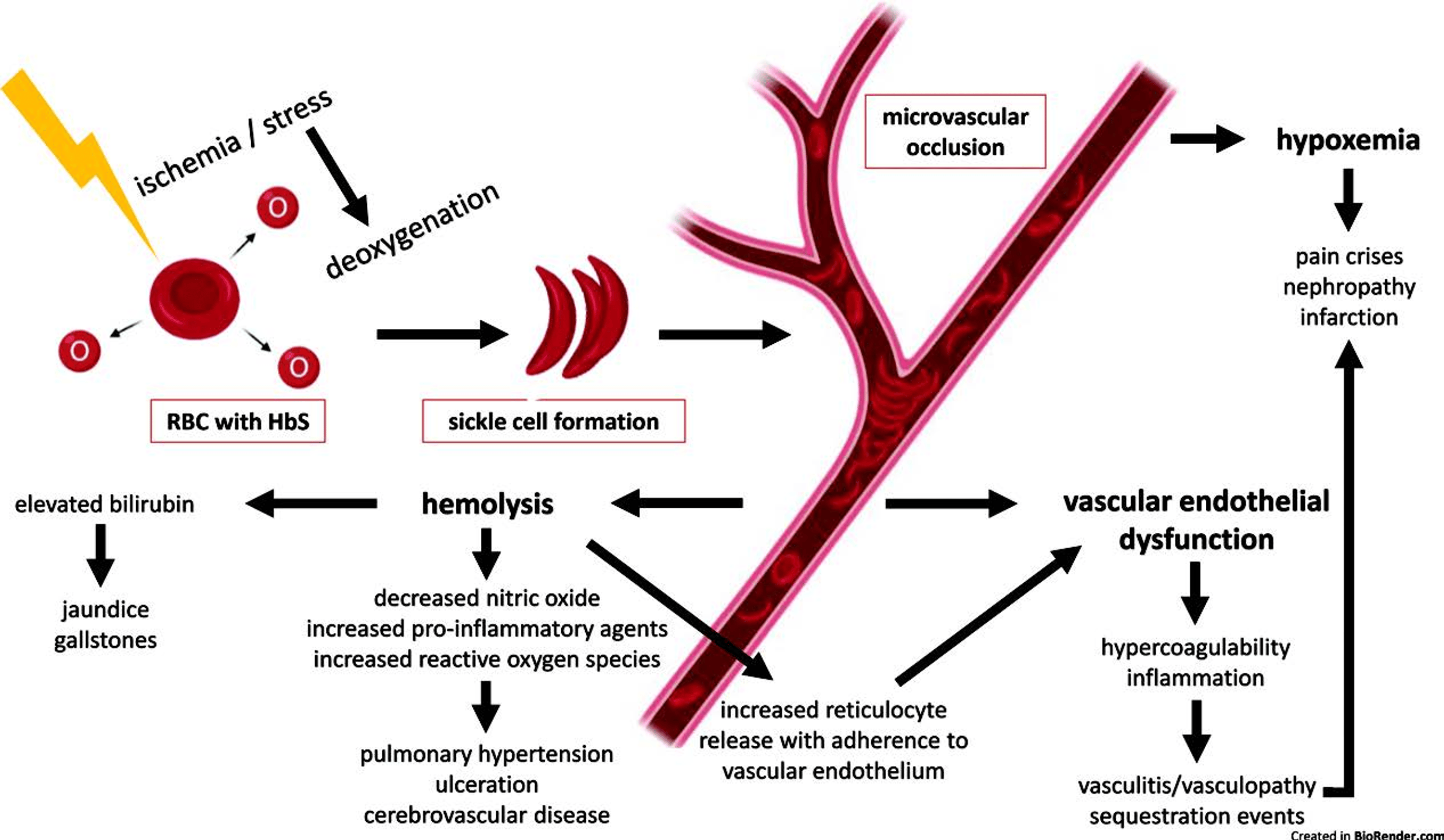 Cureus | The Effectiveness of Common Interventions in the Management of ...