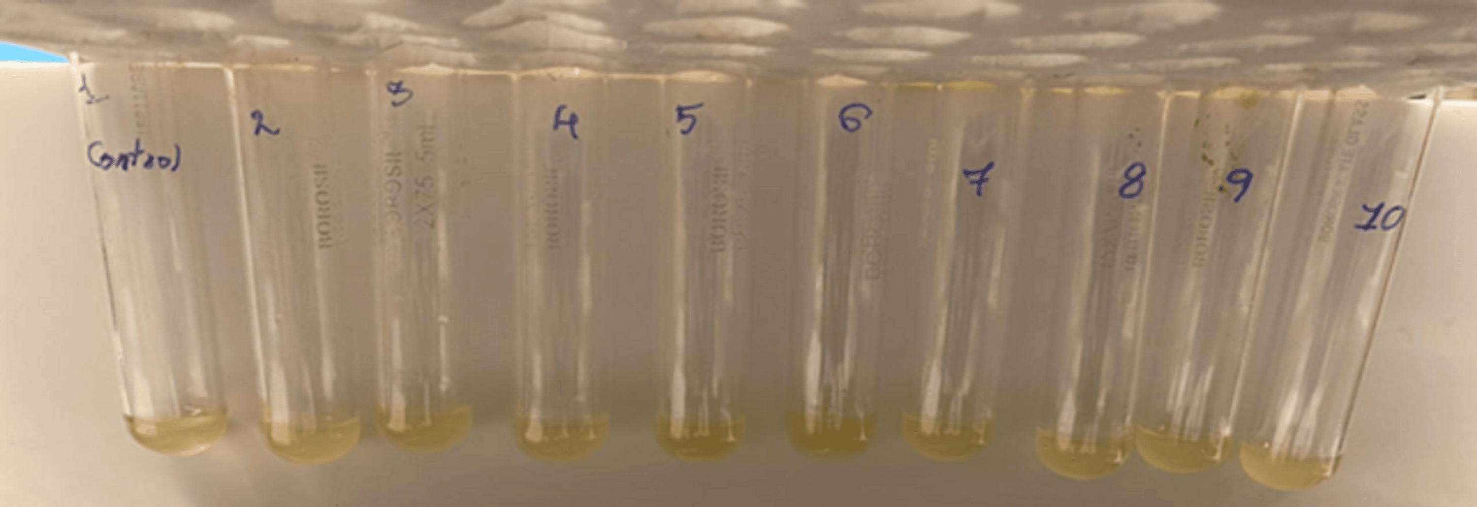 Evaluation of Antimicrobial and Mechanical Properties of a Novel