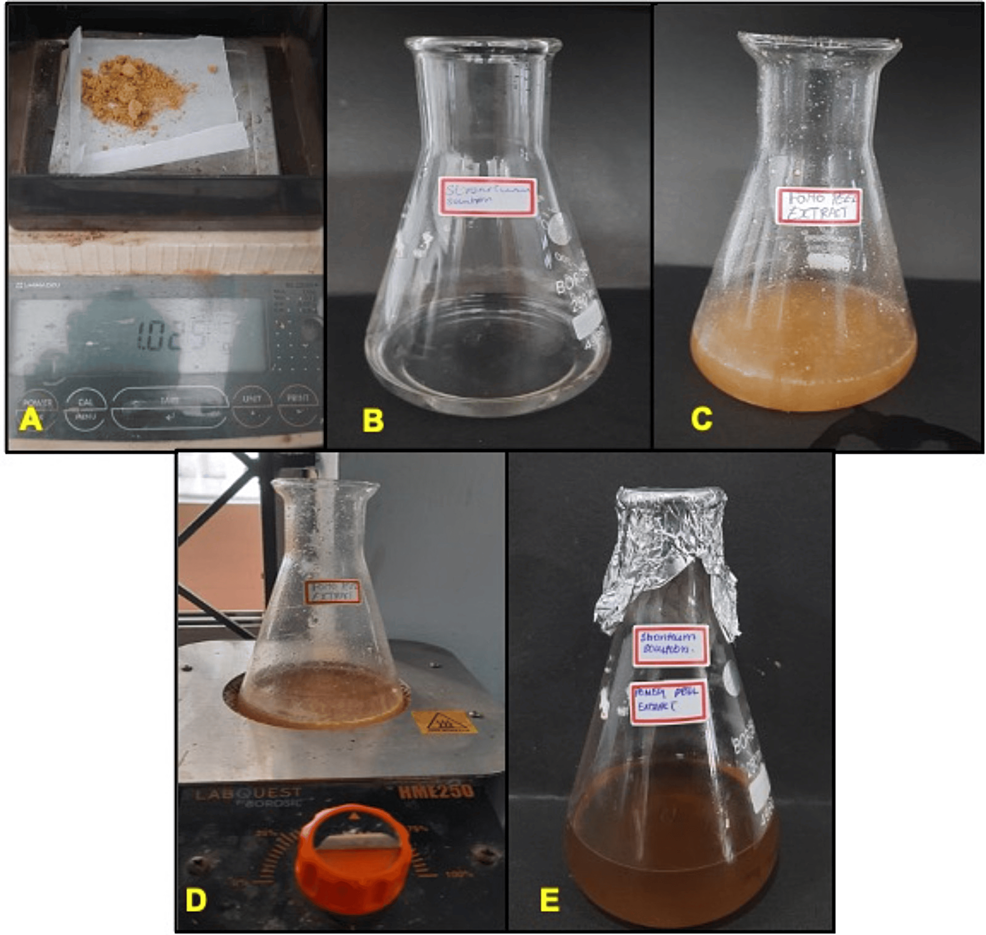 In Vitro Antidiabetic Activity of Pomegranate Peel ExtractMediated