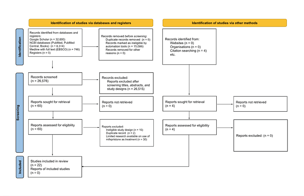 PRISMA-2020-flow-diagram-for-new-systematic-reviews-that-included-searches-of-databases,-registers,-and-other-sources
