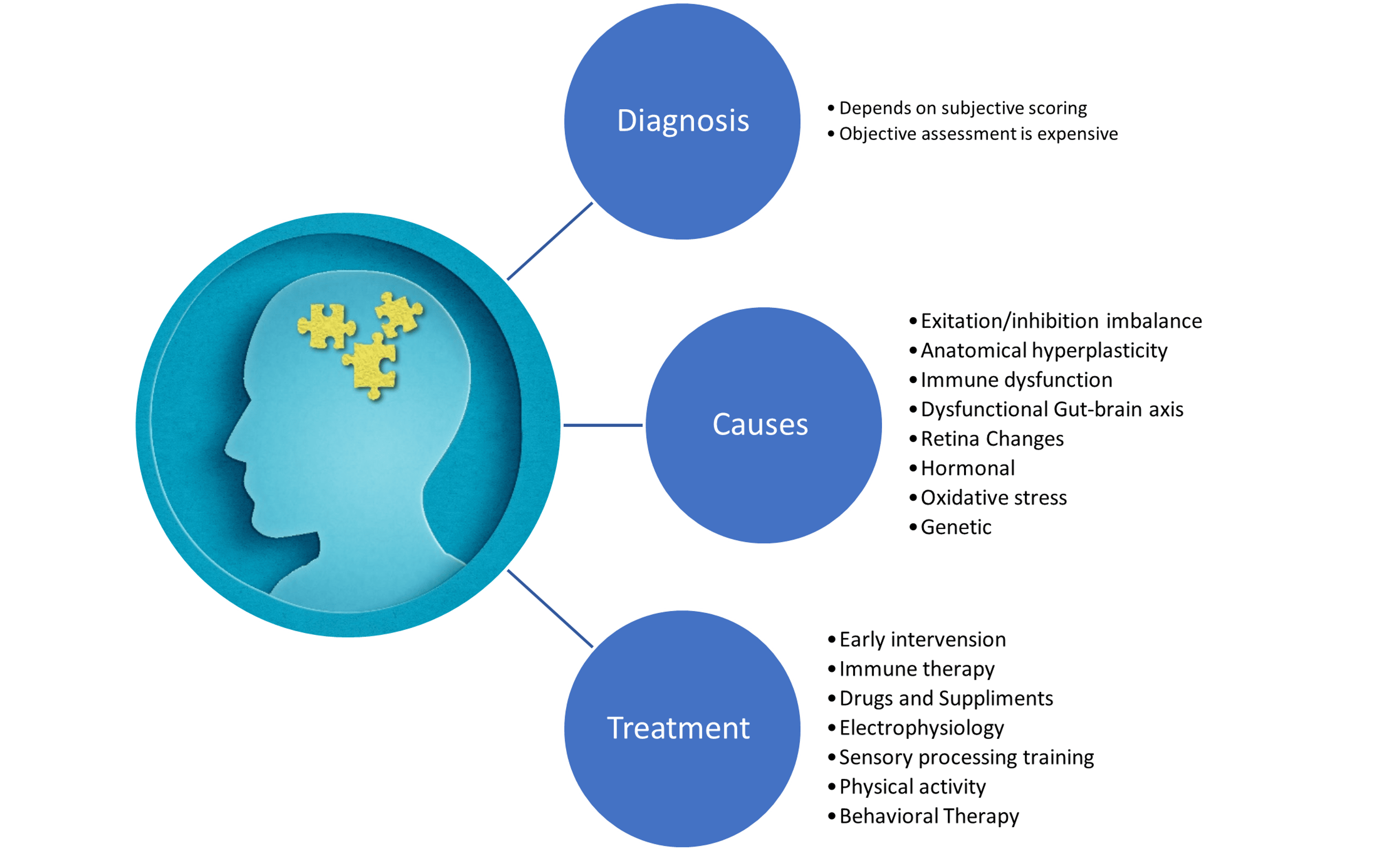 Cureus The Physiology of Cognition in Autism Spectrum Disorder