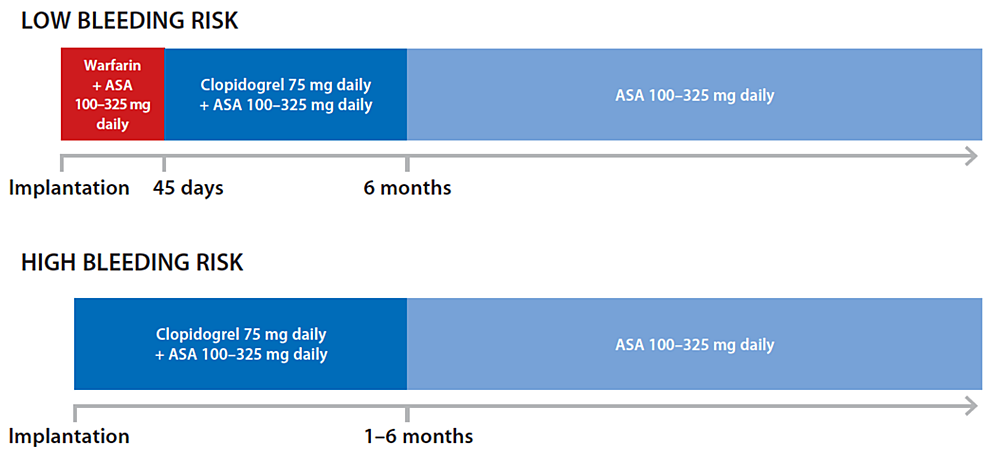 Resultados de un solo centro de la implantación de WATCHMAN™ en comparación con el anticoagulante oral y la terapia antiplaquetaria dual