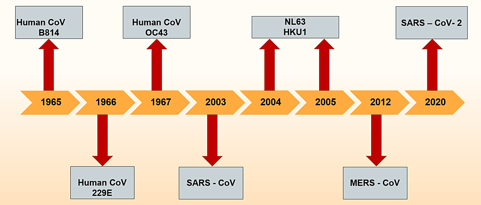 Cureus, Left Ventricular Global Longitudinal Strain in Patients With  COVID-19 Infection