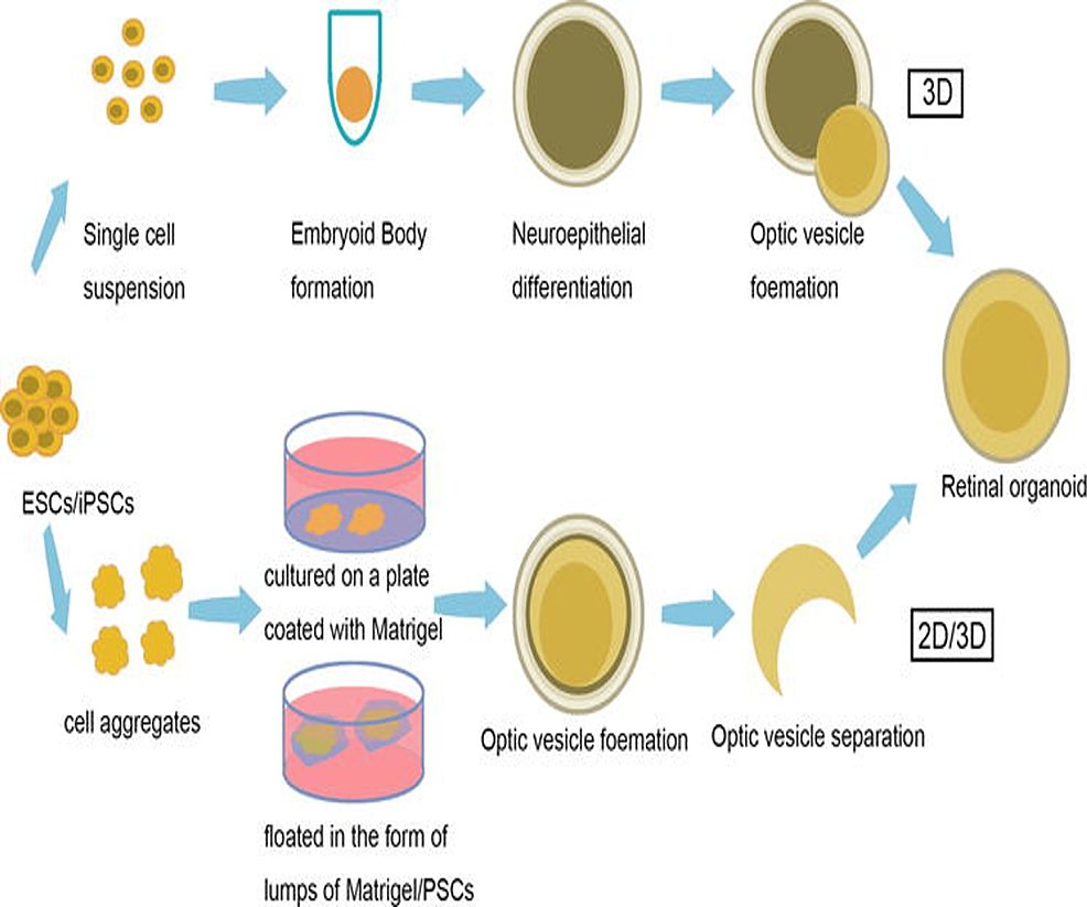 Stem Cell Regeneration: Neon Green & Electric Blue Scientific Illustration, AI Art Generator