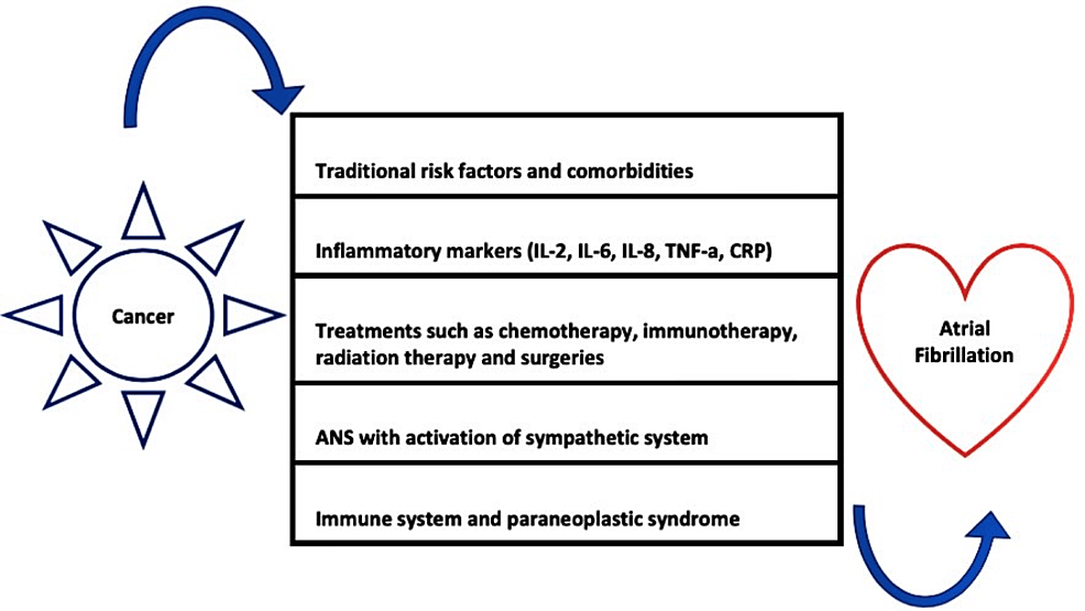 New Targets for Radiation Therapy Include Cardiac AF Ablations and