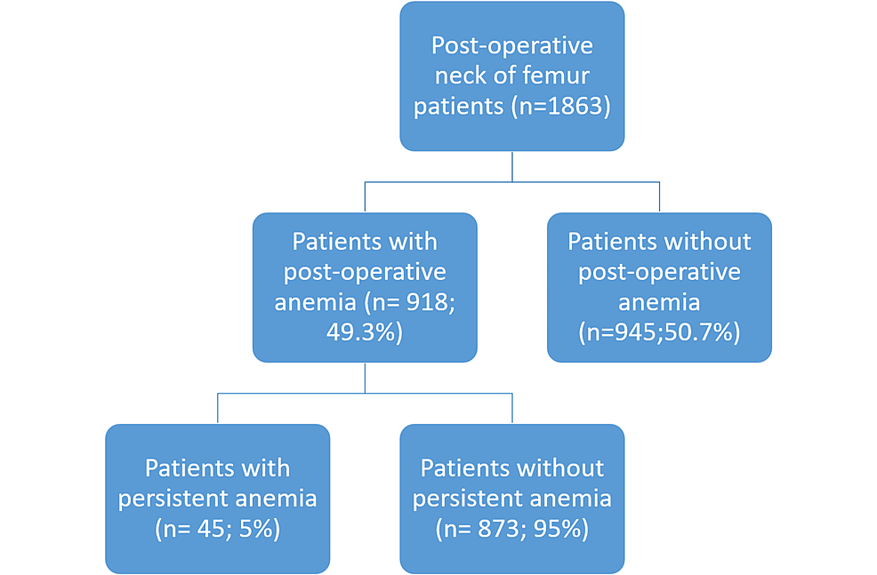 The Role of Endoscopy in Investigating the Causes of Persistent