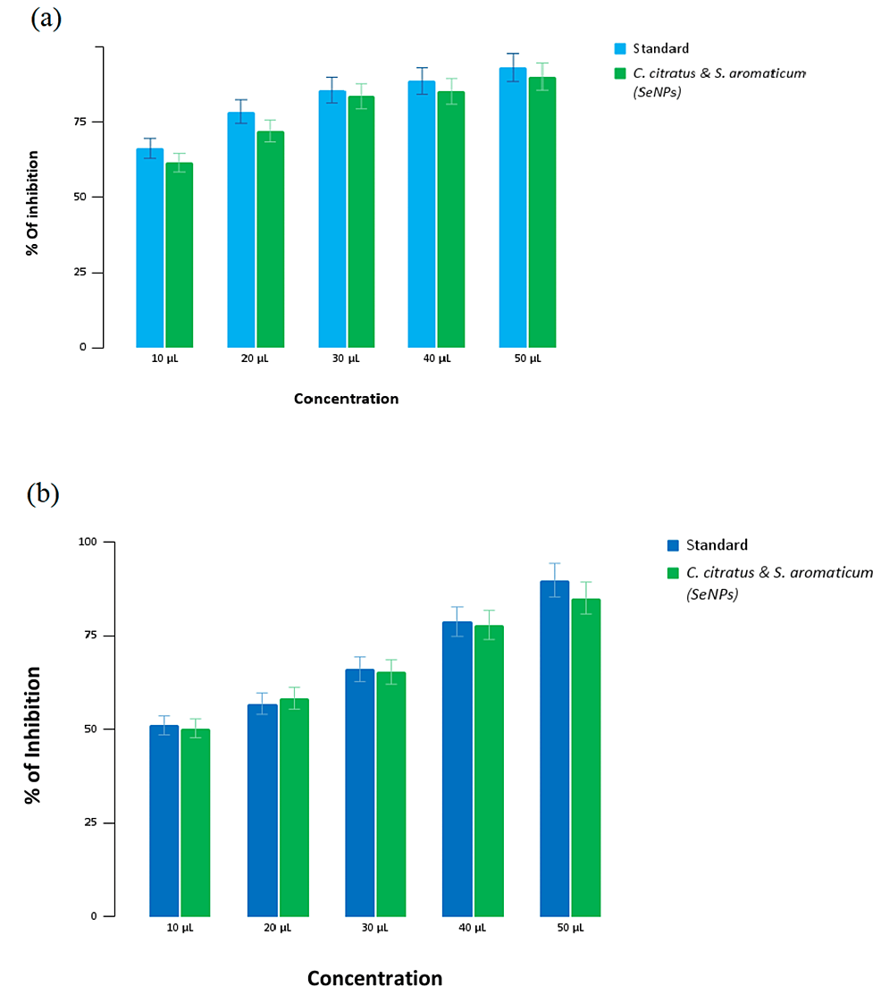 Cureus Green Synthesis of Selenium, Zinc Oxide, and Strontium