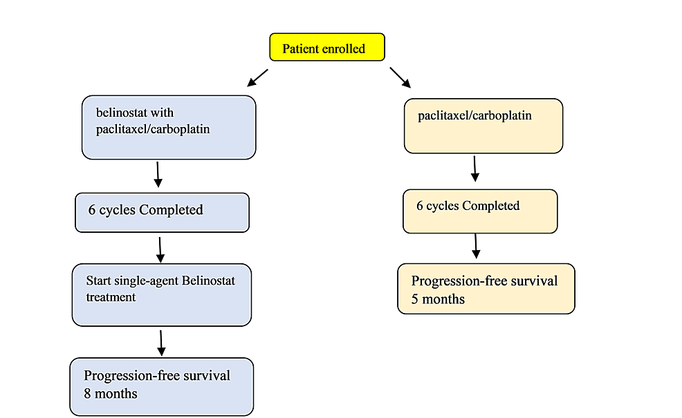 Flow-chart-showing-progression-free-survival-on-treatment-with-and-without-belinostat
