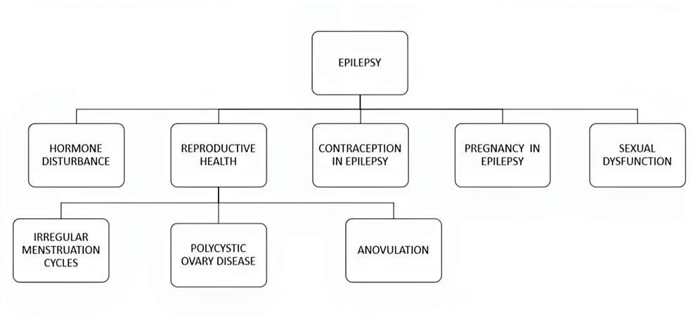 Cureus Epilepsy and Issues Related to Reproductive Health Article