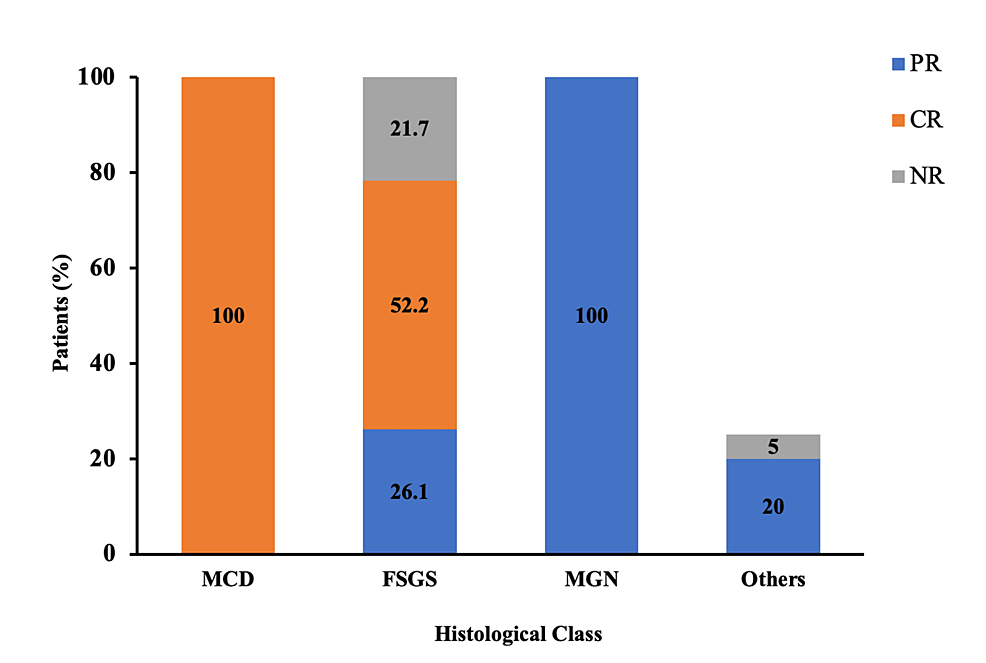 clinical-profile-and-outcomes-of-nephrotic-syndrome-with-acute-kidney