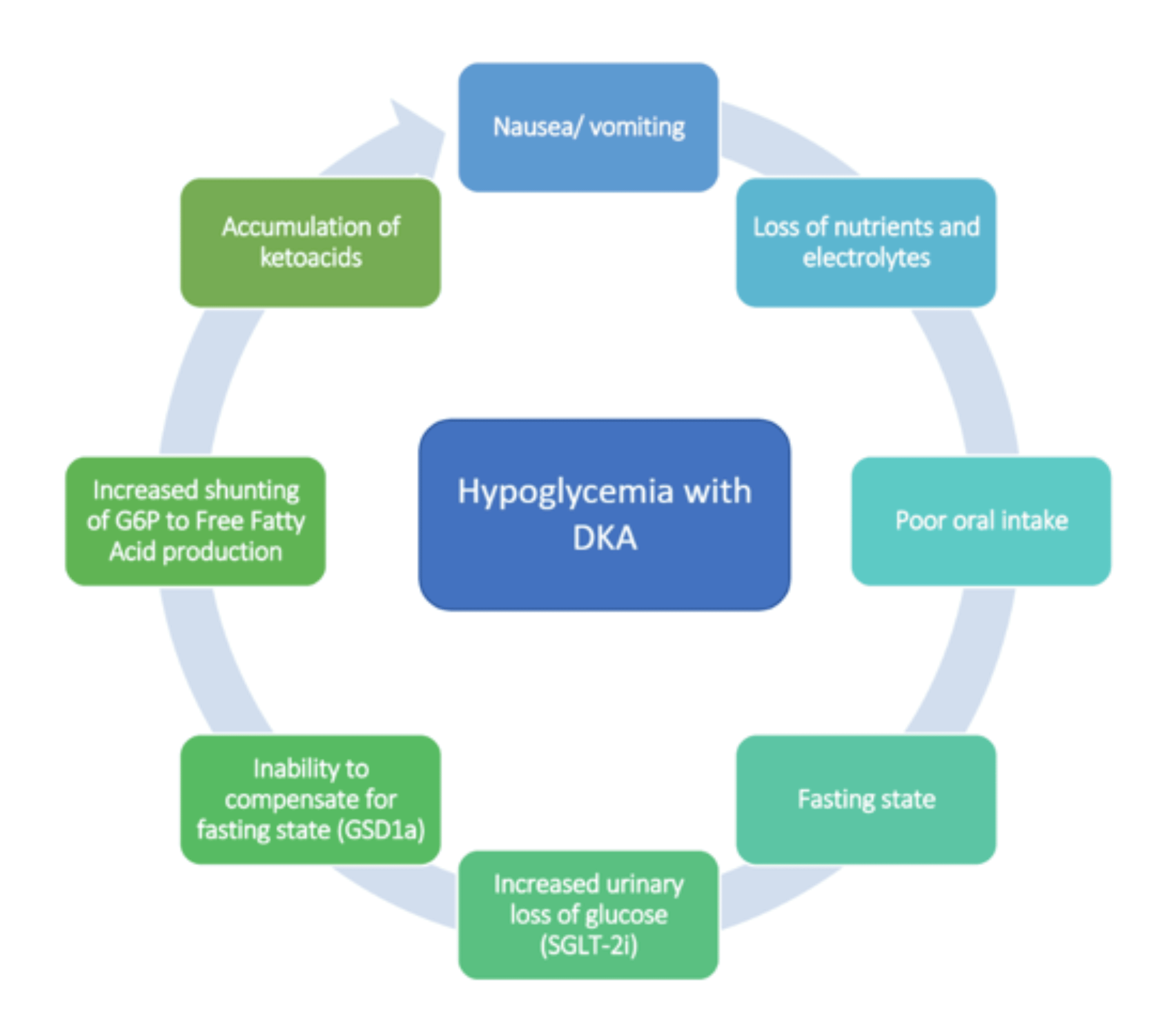 Euglycemic Diabetic Ketoacidosis Presenting as Hypoglycemia in a ...