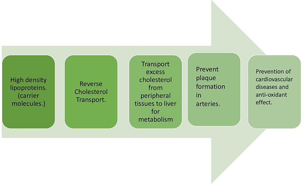 Cureus | lipoproteins and their effects on the cardiovascular system