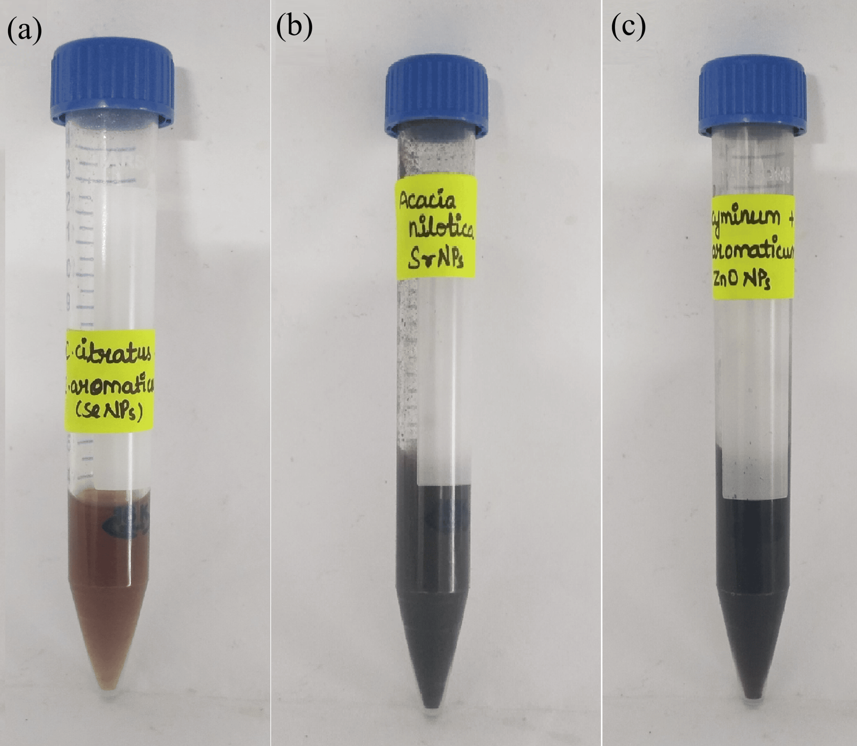 Cureus Green Synthesis of Selenium, Zinc Oxide, and Strontium Nanoparticles and Their