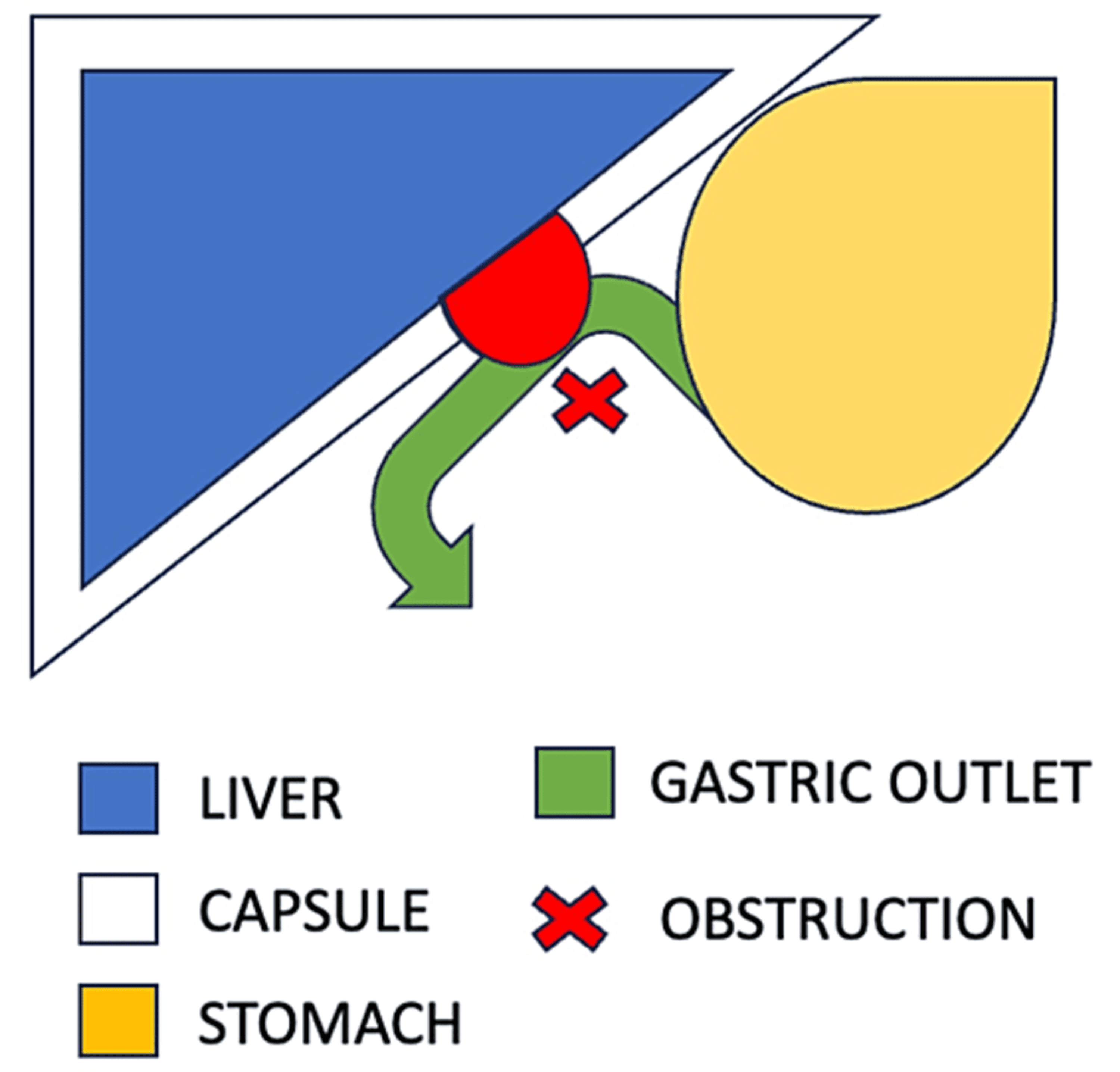 Cureus The Conservative Management of an Case of Postpartum
