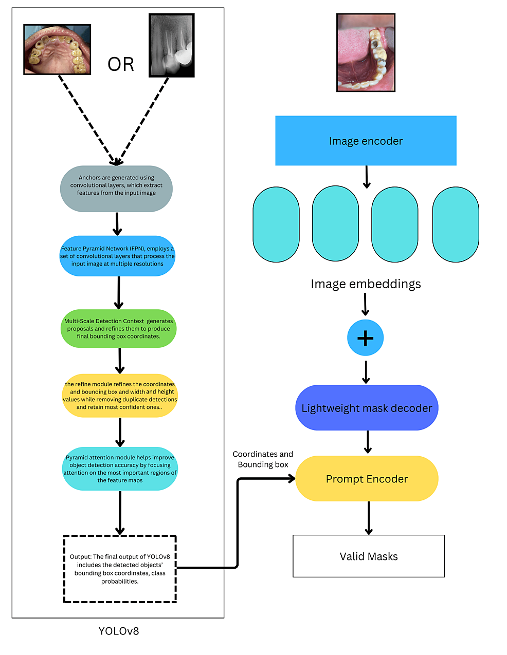Cureus | clinical annotation and segmentation tool (cast