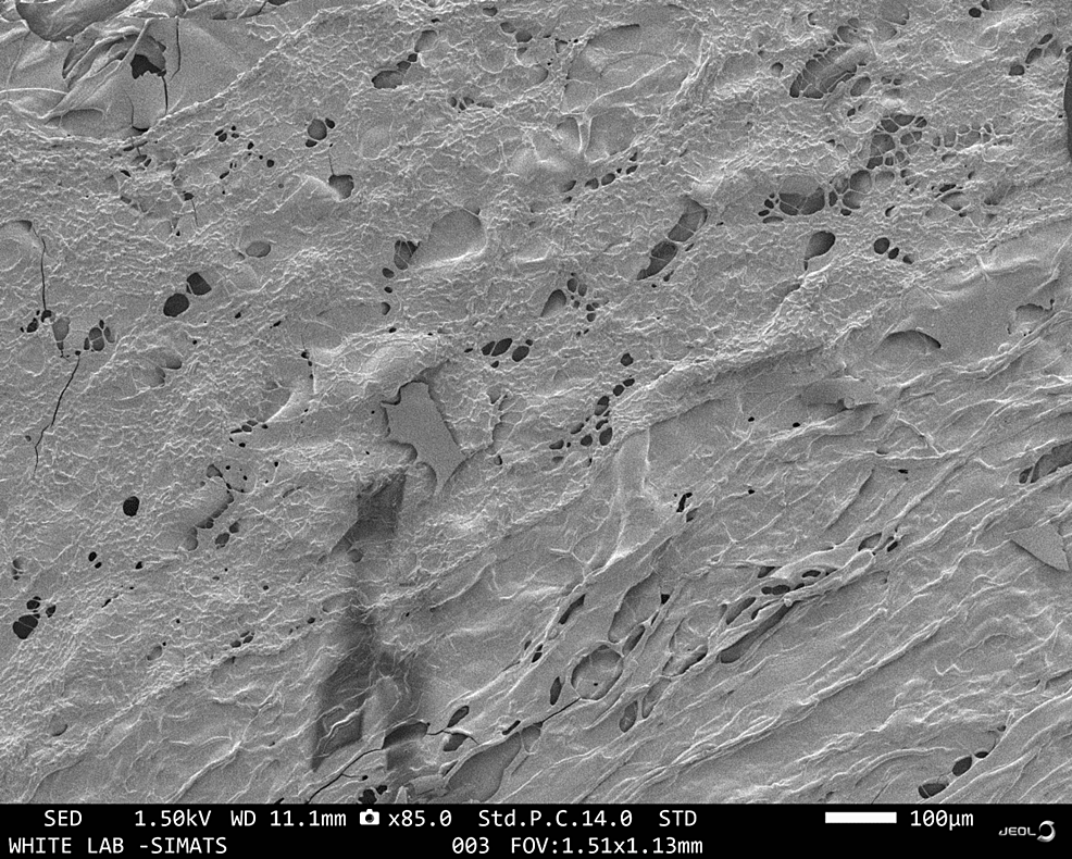 Cureus Development, Characterization, and Antibacterial Analysis of