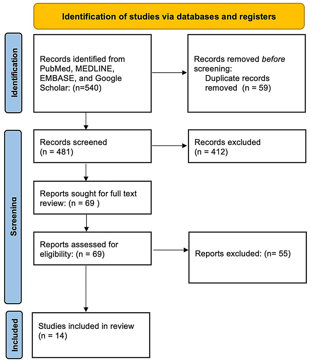 Artificial Intelligence in the Detection of Barrett's Esophagus: A Systematic Review - Cureus