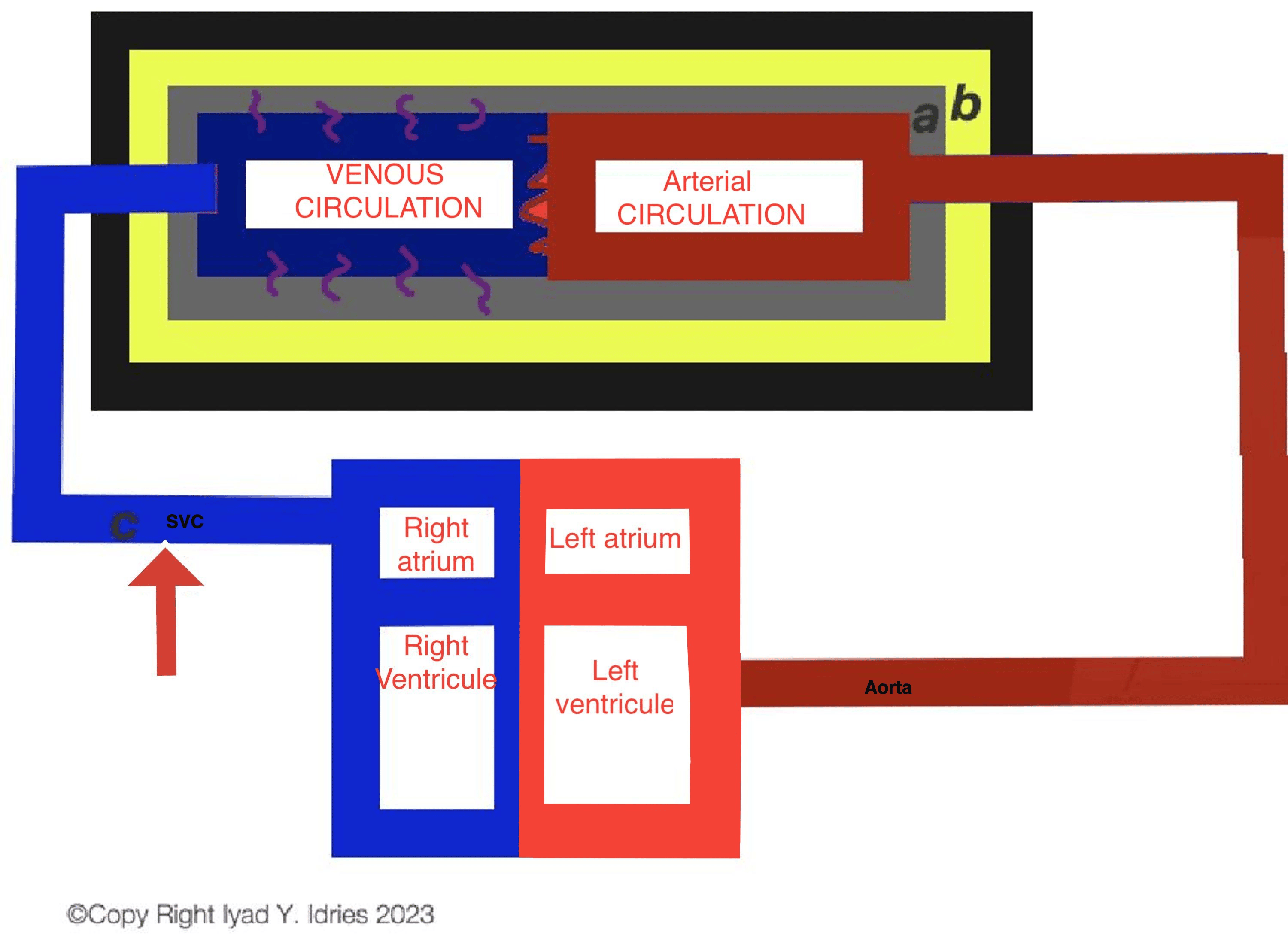 Cureus Papilledema Secondary to Barotrauma in a Young Adult With