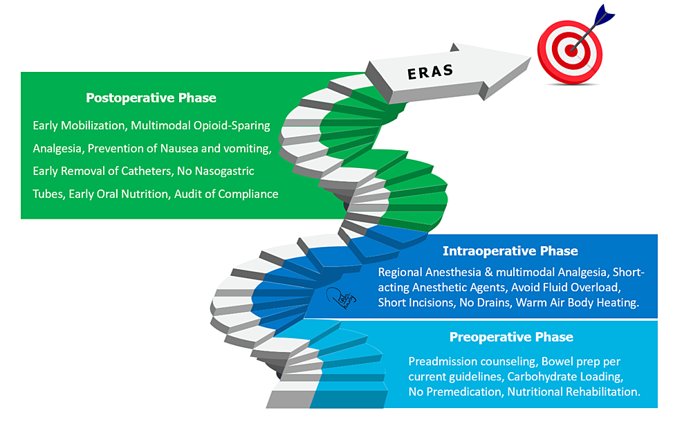 PDF) Enhanced Recovery After Surgery Protocols in Major Urologic Surgery