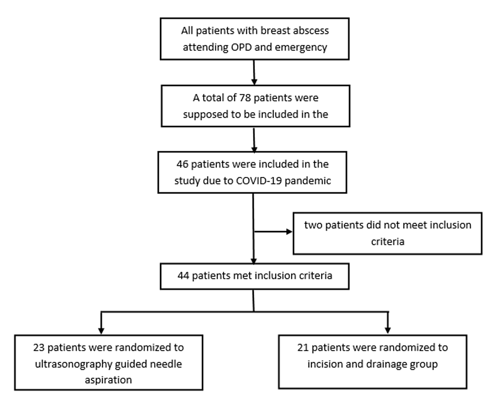 Cureus A Randomized Controlled Trial Comparing UltrasonographyGuided