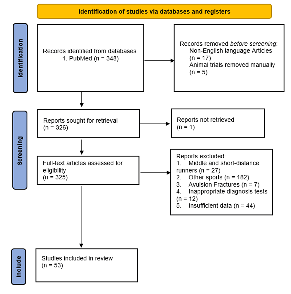 Treatment and Rehabilitation Approaches for Stress Fractures in Long ...