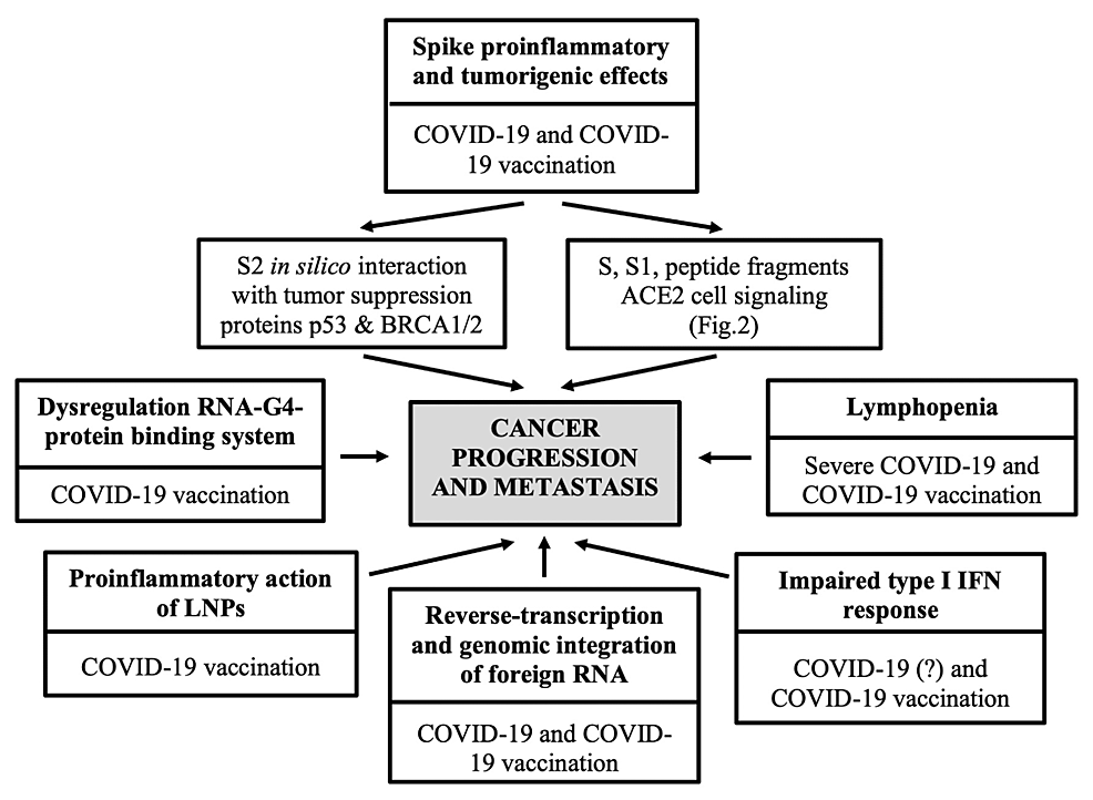 Mécanismes et voies moléculaires favorisant le cancer potentiellement médiés par le SRAS-CoV-2 et/ou certains vaccins contre la COVID-19