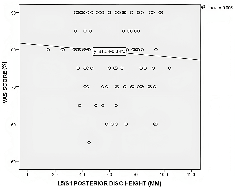 Cureus Lateral Lumbar Spinal Stenosis Associations With The Oswestry Disability Index Visual