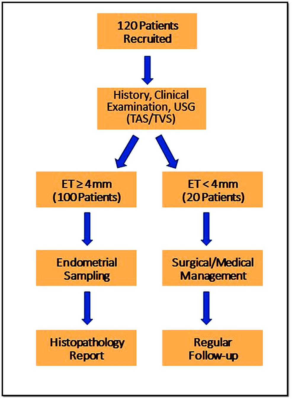 Cureus, Clinical and Histopathological Characteristics in Women With Postmenopausal  Bleeding: A Study of 120 Women in a Tertiary Care Hospital in Punjab