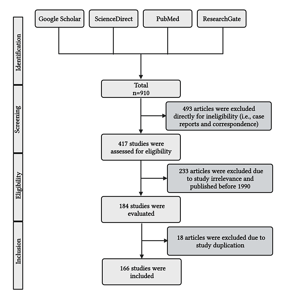 Breast anthropometry in Vietnamese youth: a comprehensive study of 128 women