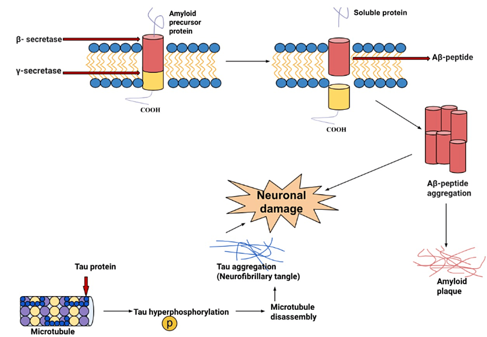 glutathione headache reddit A Review of Recent Advances in the Management of Alzheimer's Disease KPV Peptide Therapy: Gut Bpc-157 Flavor:White Cherry