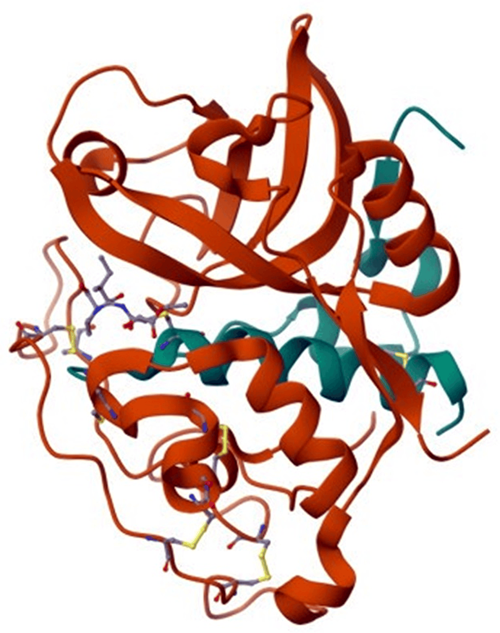 Role Of Cathepsin B Expression In Oral Squamous Cell Carcinoma: A ...