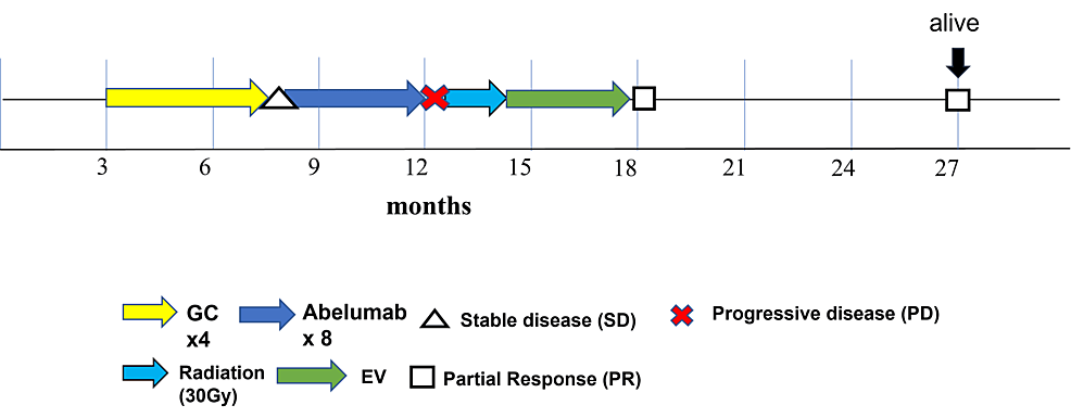 Cureus | Efficacy Of Enfortumab Vedotin After Chemotherapy With Anti ...